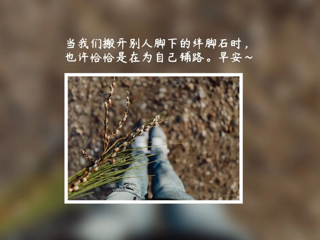 早安语录正能量励志句子,早安语录正能量-句子橘 早安语录正能量励志句子,早安语录正能量-句子橘