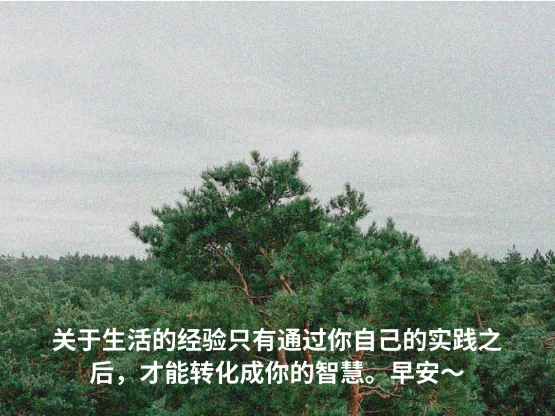 早安语录正能量励志句子,早安语录正能量-句子橘 早安语录正能量励志句子,早安语录正能量-句子橘