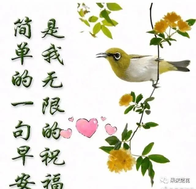 正月二十早晨最美的祝福温馨语句，2021早上好文字祝福语图片-句子橘