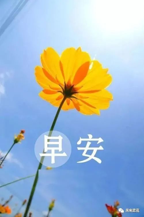 正月二十早晨最美的祝福温馨语句，2021早上好文字祝福语图片-句子橘