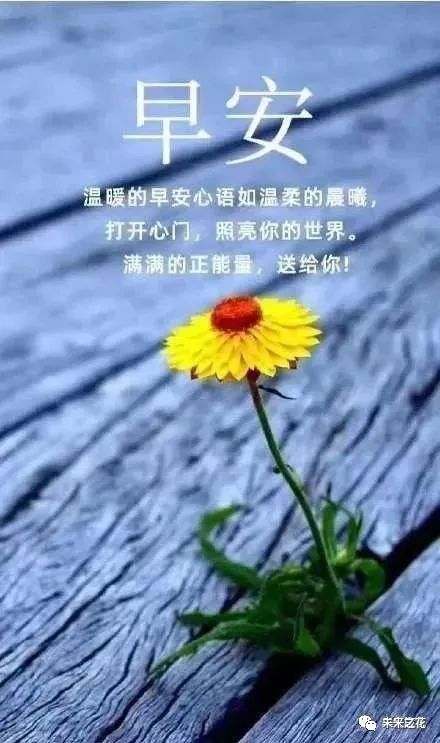 正月二十早晨最美的祝福温馨语句，2021早上好文字祝福语图片-句子橘