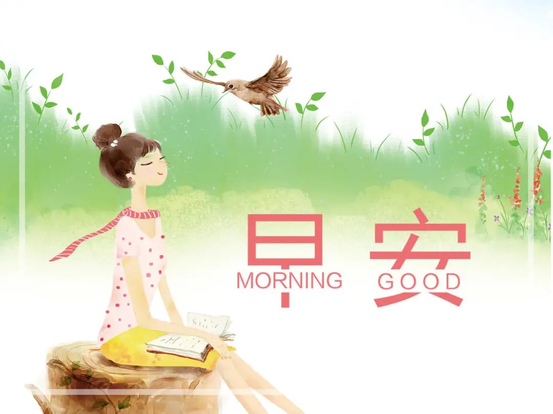 早上好的句子,新的一天开始精美语句-句子橘 早上好的句子,新的一天开始精美语句-句子橘