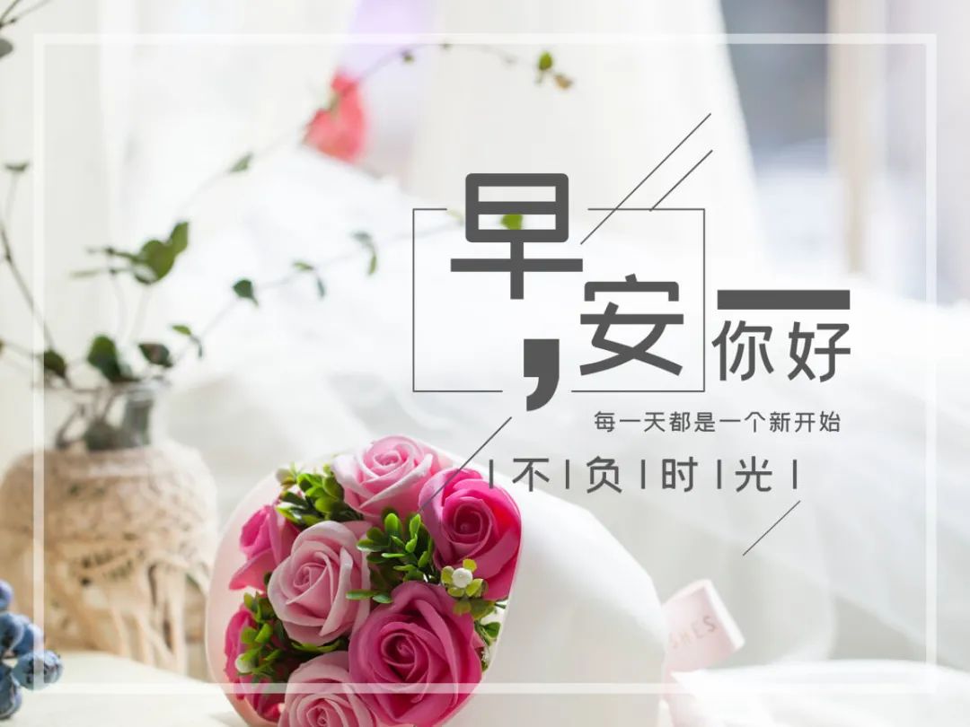 早上好的句子,新的一天开始精美语句-句子橘 早上好的句子,新的一天开始精美语句-句子橘