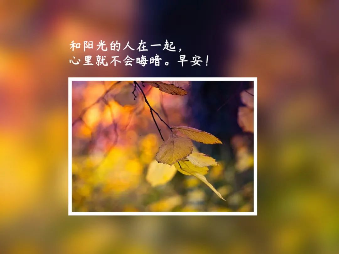 适合发早安的句子，早安励志短语-句子橘