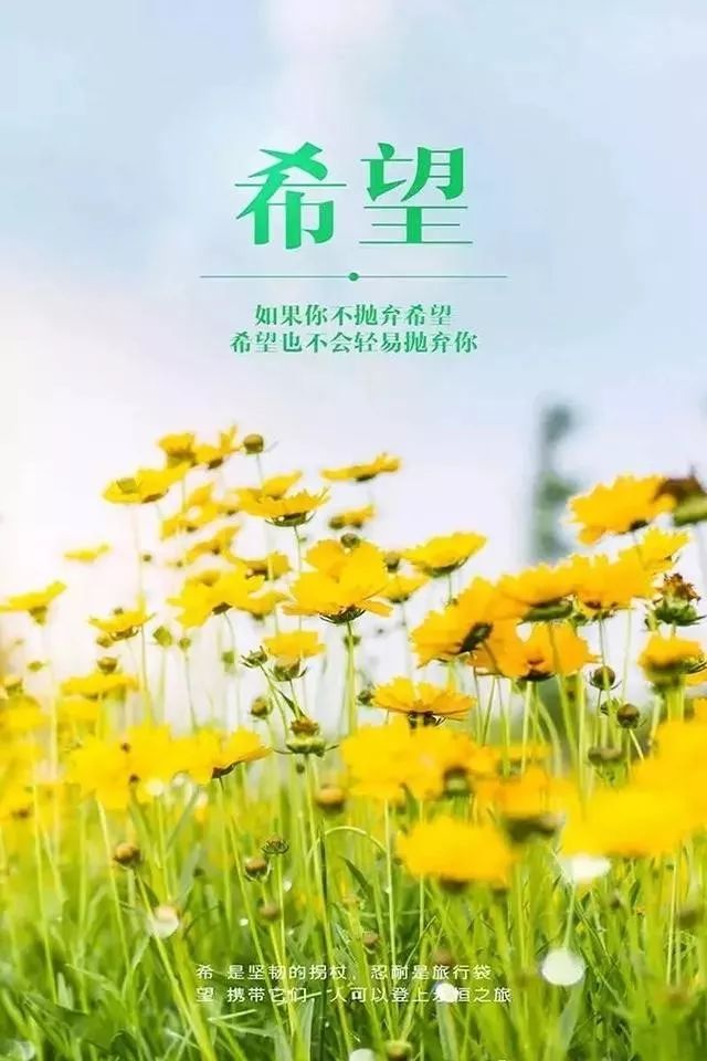 2021最激励人心的句子,新的一天,新的开始-句子橘 2021最激励人心的句子,新的一天,新的开始-句子橘