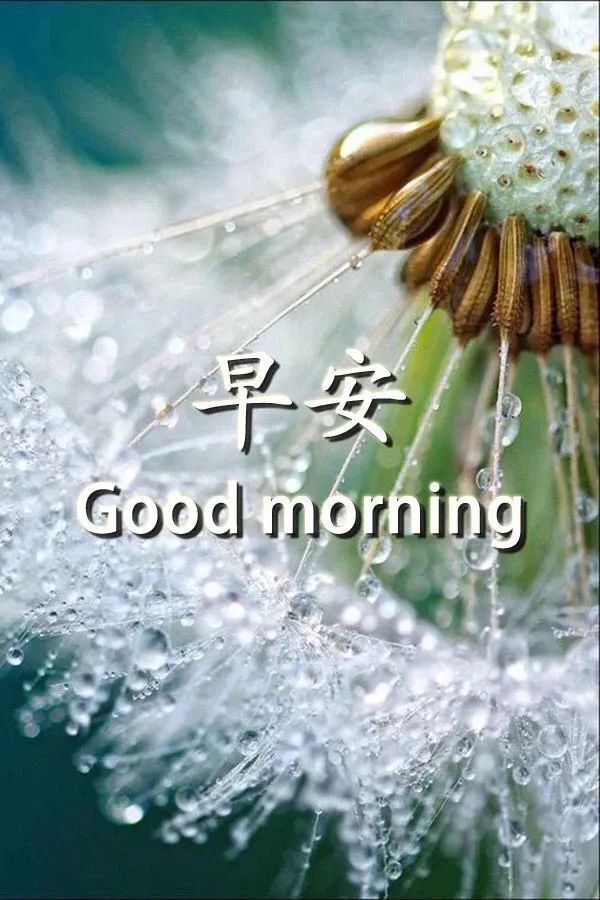 2021最激励人心的句子,新的一天,新的开始-句子橘 2021最激励人心的句子,新的一天,新的开始-句子橘
