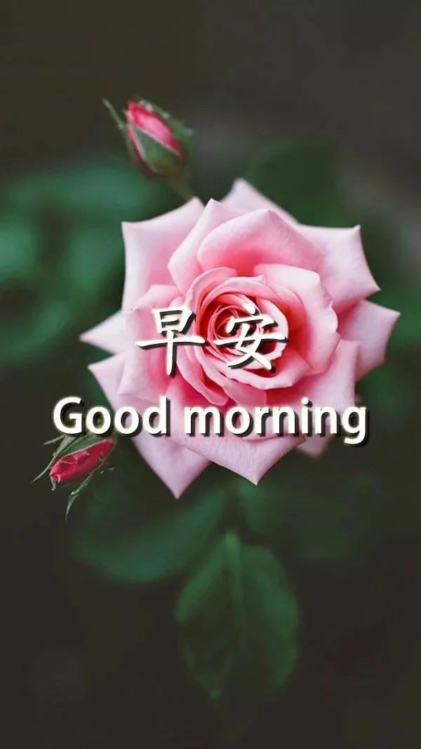 2021最激励人心的句子,新的一天,新的开始-句子橘 2021最激励人心的句子,新的一天,新的开始-句子橘