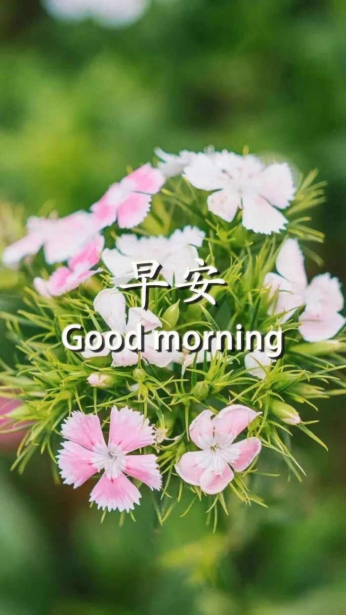2021最激励人心的句子,新的一天,新的开始-句子橘 2021最激励人心的句子,新的一天,新的开始-句子橘