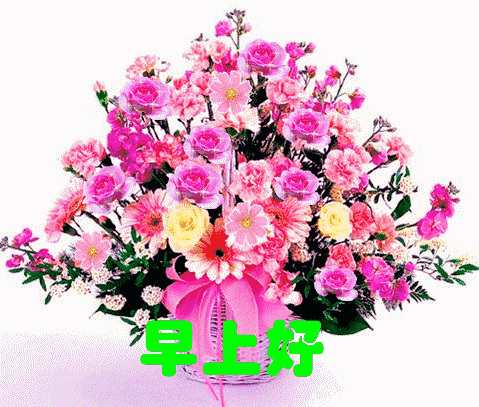 阳春三月新的一天暖心早上好问候语句，早安祝福语动态图片表情带字-句子橘