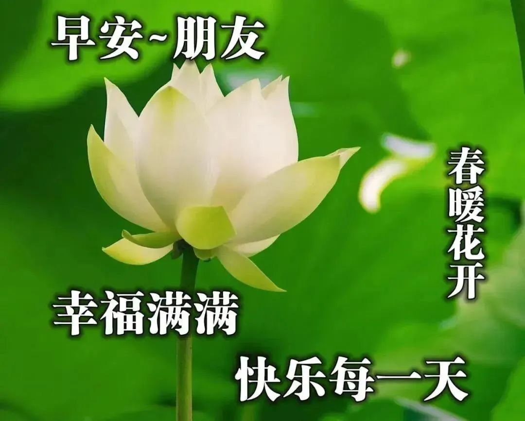 阳春三月新的一天暖心早上好问候语句，早安祝福语动态图片表情带字-句子橘