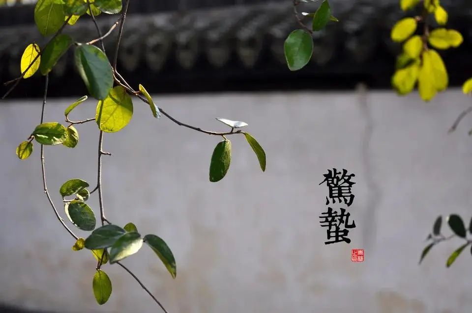 俗语“惊蛰不冻虫,寒到五月中”,啥意思?天气还会转冷?-句子橘 俗语“惊蛰不冻虫,寒到五月中”,啥意思?天气还会转冷?-句子橘