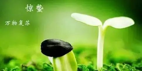 俗语“惊蛰不冻虫,寒到五月中”,啥意思?天气还会转冷?-句子橘 俗语“惊蛰不冻虫,寒到五月中”,啥意思?天气还会转冷?-句子橘
