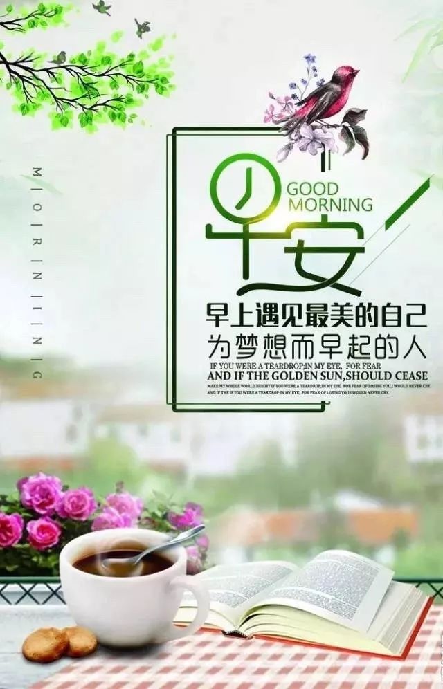 美好的一天早安励志句子,2021早安励志说说-句子橘 美好的一天早安励志句子,2021早安励志说说-句子橘