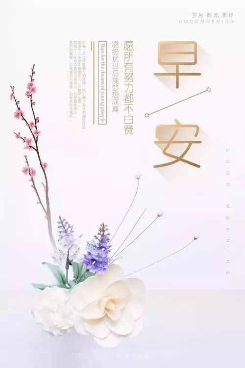 美好的一天早安励志句子,2021早安励志说说-句子橘 美好的一天早安励志句子,2021早安励志说说-句子橘