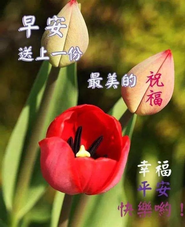 美好的一天早安励志句子,2021早安励志说说-句子橘 美好的一天早安励志句子,2021早安励志说说-句子橘