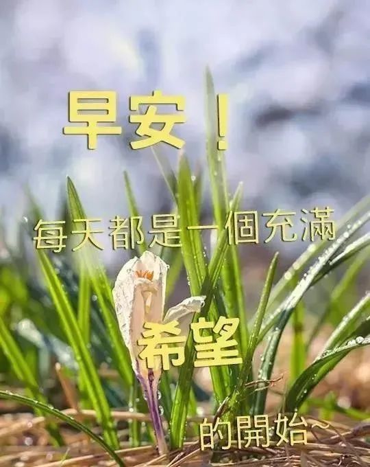 朋友圈最新暖心的早安祝福语句,春天早上暖心问候祝福短信句子-句子橘 朋友圈最新暖心的早安祝福语句,春天早上暖心问候祝福短信句子-句子橘