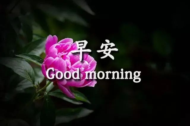 朋友圈最新暖心的早安祝福语句,春天早上暖心问候祝福短信句子-句子橘 朋友圈最新暖心的早安祝福语句,春天早上暖心问候祝福短信句子-句子橘