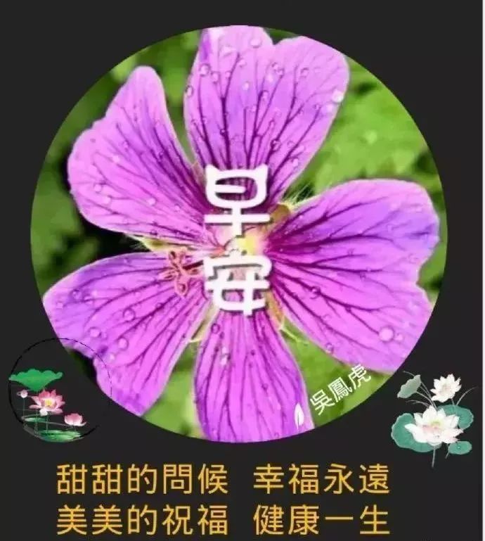 朋友圈最新暖心的早安祝福语句,春天早上暖心问候祝福短信句子-句子橘 朋友圈最新暖心的早安祝福语句,春天早上暖心问候祝福短信句子-句子橘