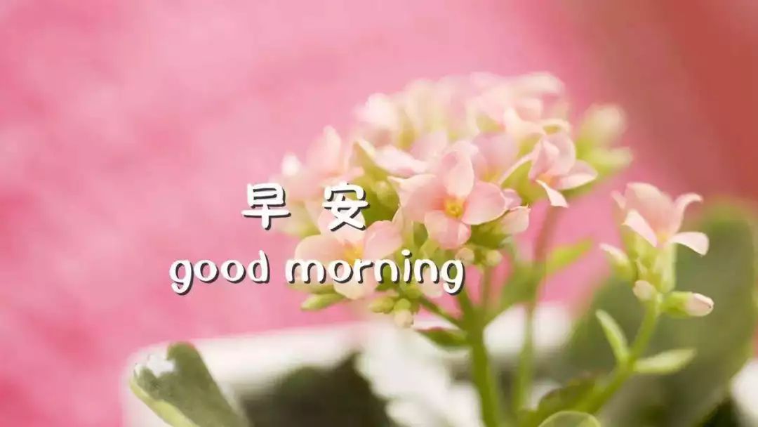 适合早上发说说的句子,温暖美好,沁人心脾!-句子橘 适合早上发说说的句子,温暖美好,沁人心脾!-句子橘