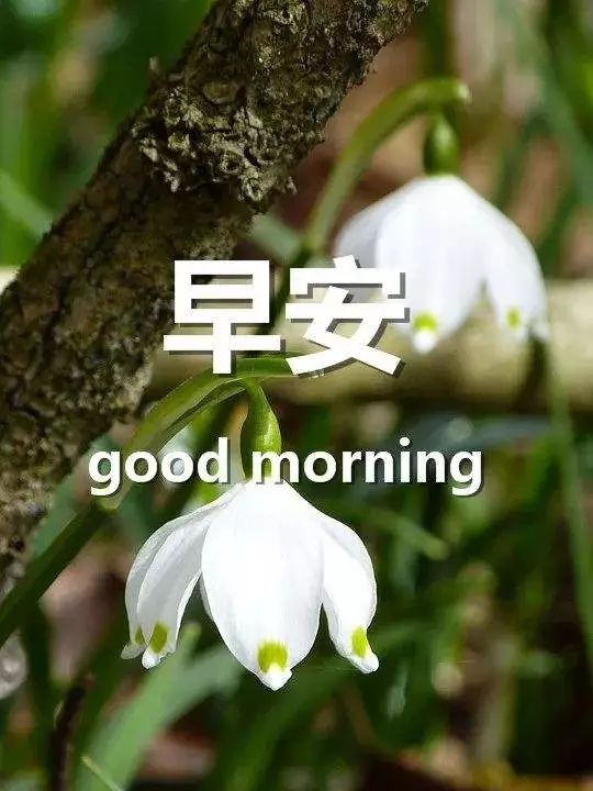 适合早上发说说的句子,温暖美好,沁人心脾!-句子橘 适合早上发说说的句子,温暖美好,沁人心脾!-句子橘