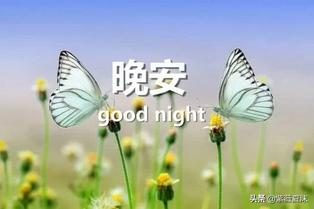 晚安心语正能量致奋斗的自己，晚安说说优美语句精选-句子橘