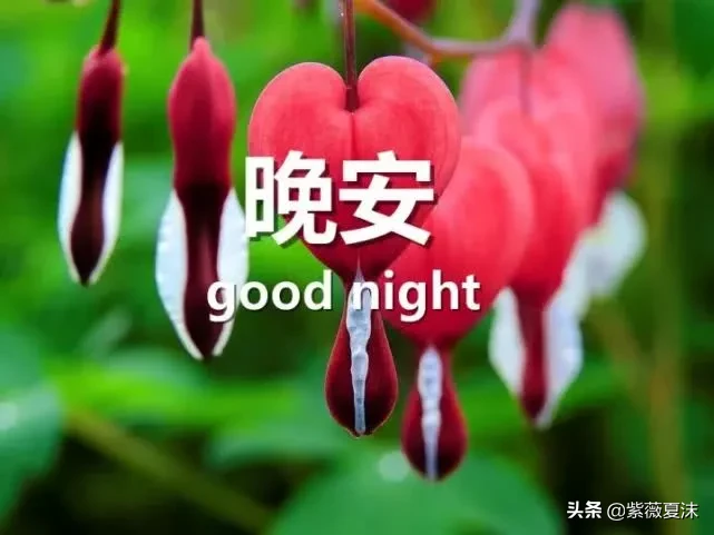 晚安心语正能量致奋斗的自己，晚安说说优美语句精选-句子橘