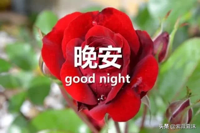 晚安心语正能量致奋斗的自己，晚安说说优美语句精选-句子橘