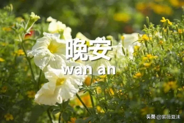 晚安心语正能量致奋斗的自己，晚安说说优美语句精选-句子橘
