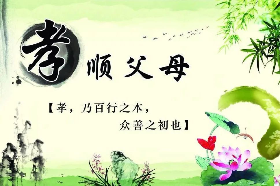 孝顺的名言名句摘抄-句子橘