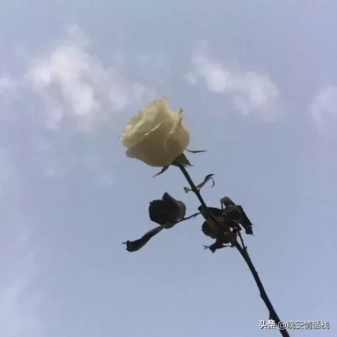 心碎失望的句子说说心情，句句伤感，满满的无奈！-句子橘