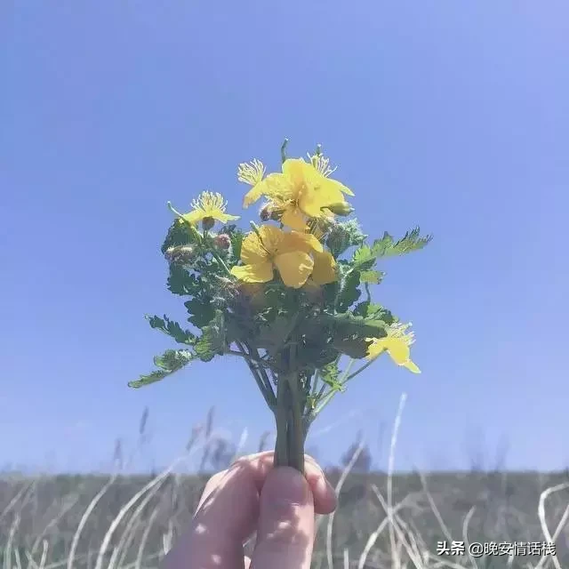 心碎失望的句子说说心情，句句伤感，满满的无奈！-句子橘