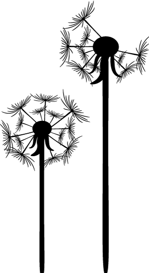 早安的唯美句子早安的朋友圈说说早安八个字经典-句子橘