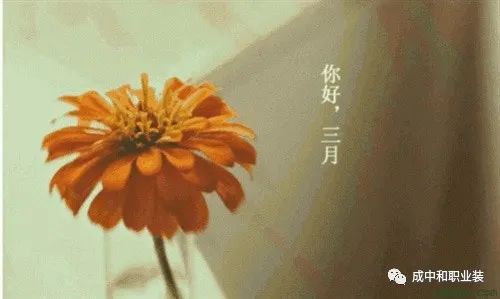 三月你好的温馨句子,再见二月,你好,阳春三月-句子橘 三月你好的温馨句子,再见二月,你好,阳春三月-句子橘