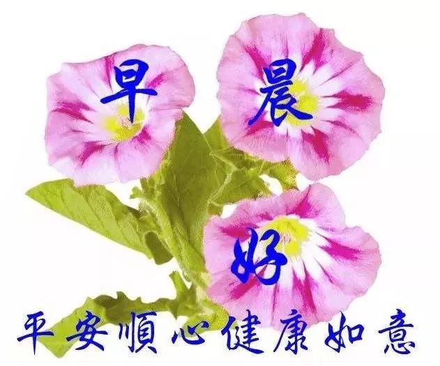 2021清晨温馨早安问候祝福语句,最新版微信早上好问候语图片-句子橘 2021清晨温馨早安问候祝福语句,最新版微信早上好问候语图片-句子橘