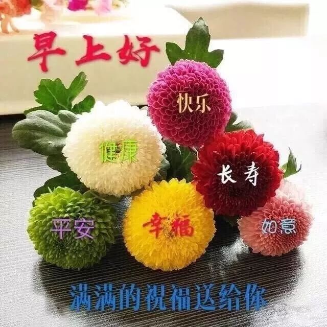 2021清晨温馨早安问候祝福语句,最新版微信早上好问候语图片-句子橘 2021清晨温馨早安问候祝福语句,最新版微信早上好问候语图片-句子橘