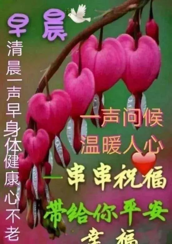 2021清晨温馨早安问候祝福语句,最新版微信早上好问候语图片-句子橘 2021清晨温馨早安问候祝福语句,最新版微信早上好问候语图片-句子橘