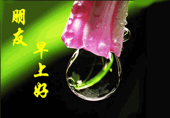 微信很好看的早上好的温馨祝福句子3月最赞的早上好问候表情动态图片-句子橘 微信很好看的早上好的温馨祝福句子3月最赞的早上好问候表情动态图片-句子橘