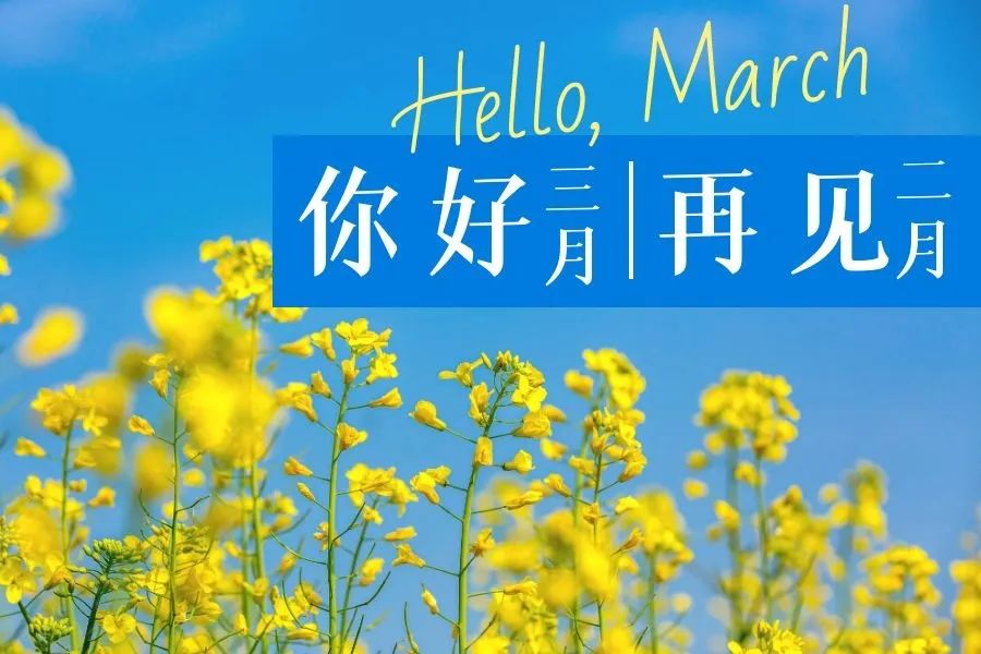 三月你好温暖句子,三月你好经典语录-句子橘 三月你好温暖句子,三月你好经典语录-句子橘