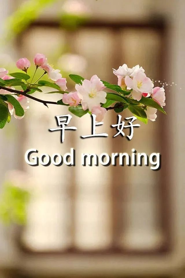 微信很好看的早上好的温馨祝福句子3月最赞的早上好问候表情动态图片-句子橘 微信很好看的早上好的温馨祝福句子3月最赞的早上好问候表情动态图片-句子橘