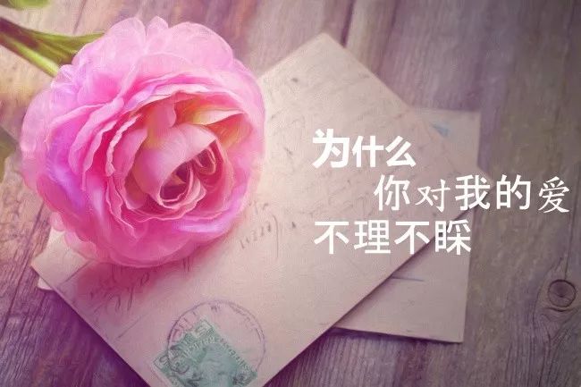 伤感句子图片大全唯美伤感-句子橘 伤感句子图片大全唯美伤感-句子橘