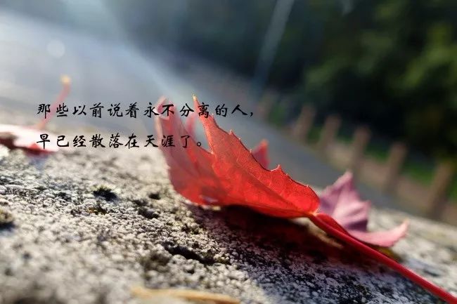 伤感句子图片大全唯美伤感-句子橘 伤感句子图片大全唯美伤感-句子橘