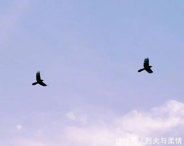 让人莫名的心疼的句子,句句戳心,看一眼都觉得伤心!-句子橘 让人莫名的心疼的句子,句句戳心,看一眼都觉得伤心!-句子橘