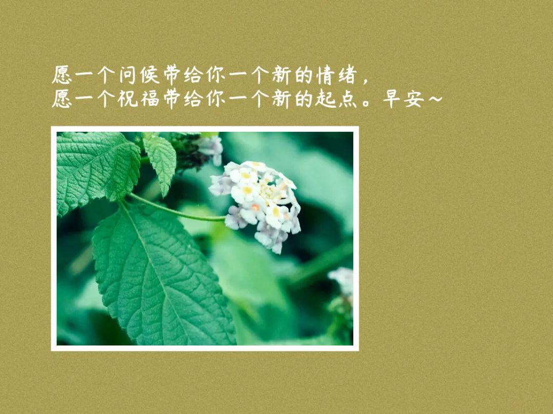 03月01日清晨的阳光唯美句子,早安经典一句话-句子橘 03月01日清晨的阳光唯美句子,早安经典一句话-句子橘