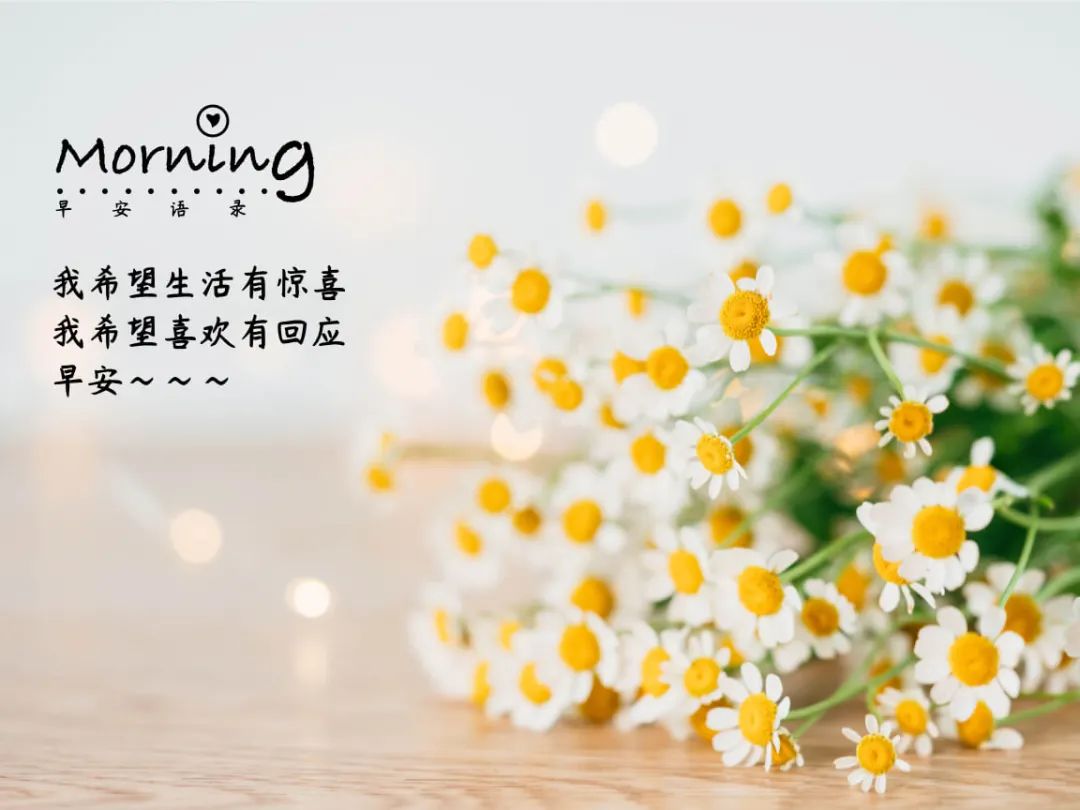 03月01日清晨的阳光唯美句子,早安经典一句话-句子橘 03月01日清晨的阳光唯美句子,早安经典一句话-句子橘