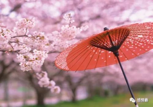 祝女神节日快乐的句子女神节祝福语独特-句子橘