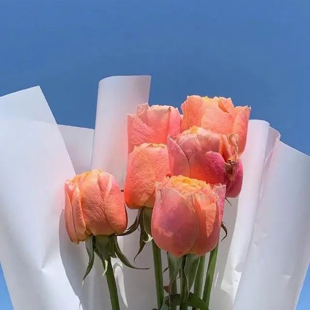 适合早上发朋友圈的心情句子,简单干净,人气超高!-句子橘 适合早上发朋友圈的心情句子,简单干净,人气超高!-句子橘