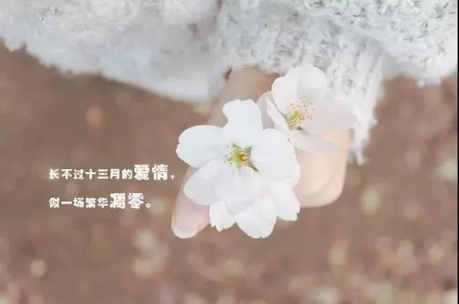 适合发朋友圈的人生感悟哲理语句，字字经典透彻，句句感悟颇深-句子橘