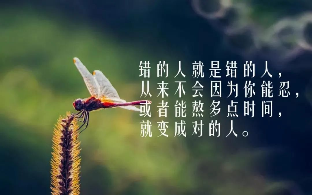 适合发朋友圈的人生感悟哲理语句，字字经典透彻，句句感悟颇深-句子橘