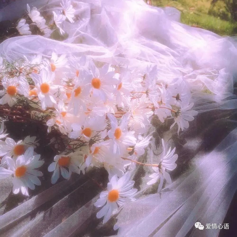 今日份少女心文艺小清新的温柔短句子”-句子橘 今日份少女心文艺小清新的温柔短句子”-句子橘