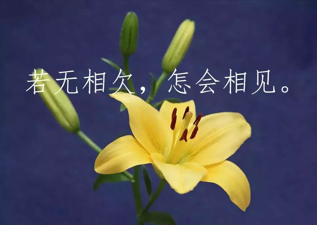 朋友晚安早安心语短句最温暖的早安晚安正能量唯美句子配图-句子橘 朋友晚安早安心语短句最温暖的早安晚安正能量唯美句子配图-句子橘